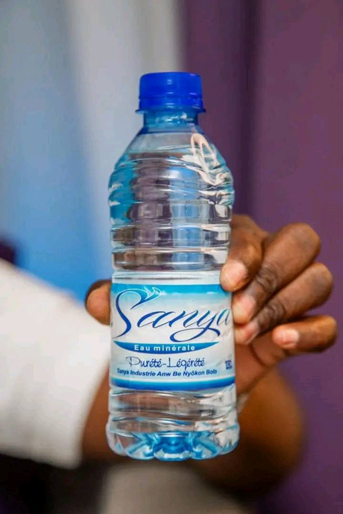 Eaux minérales Sanya bidon de 35CL en carton de 24