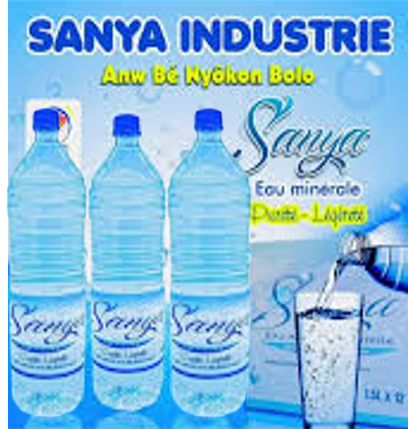 Eaux minérales Sanya bidon de 1,5l